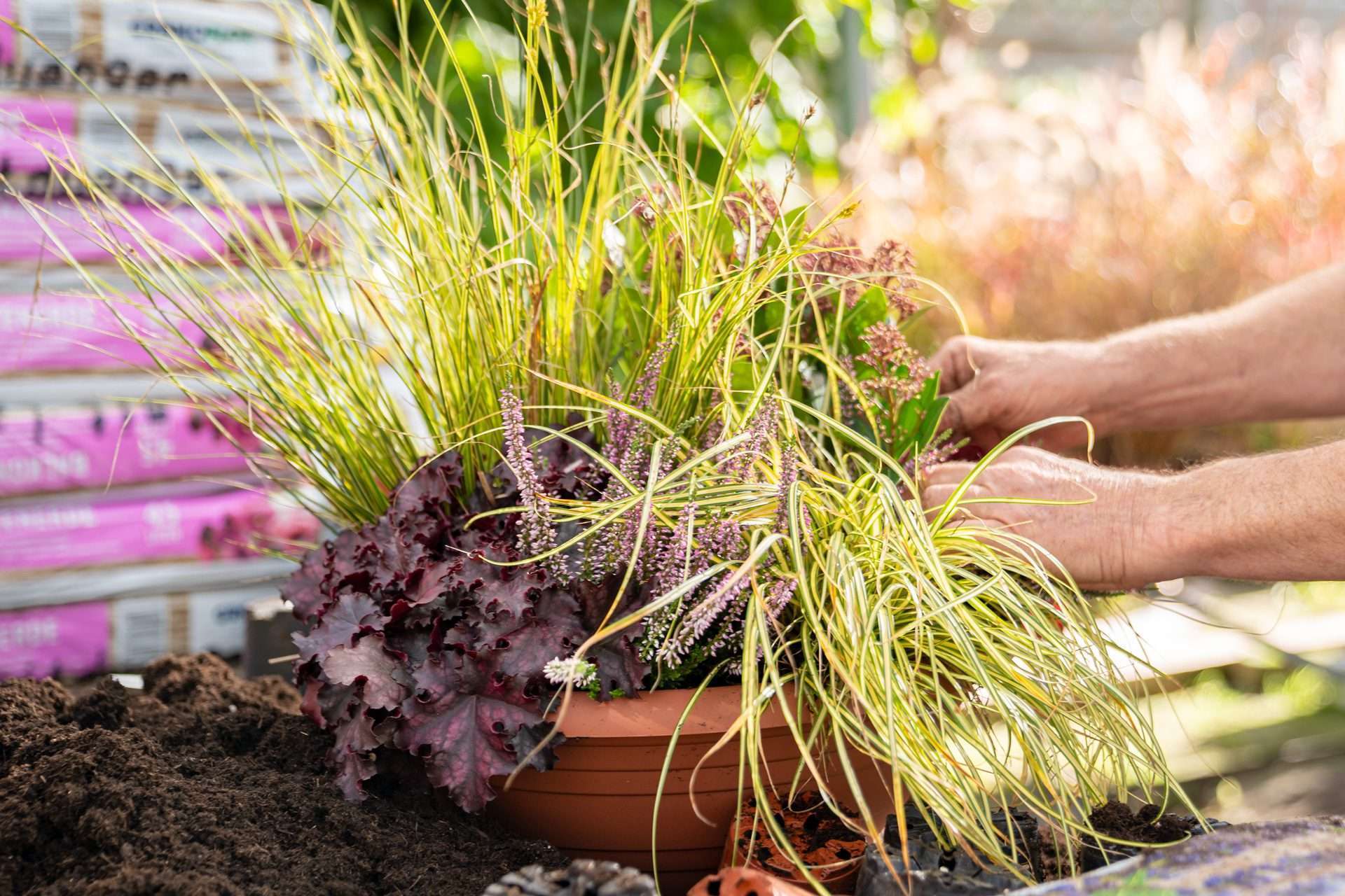 Gartenbaugruppe – Individuelle Bepflanzung