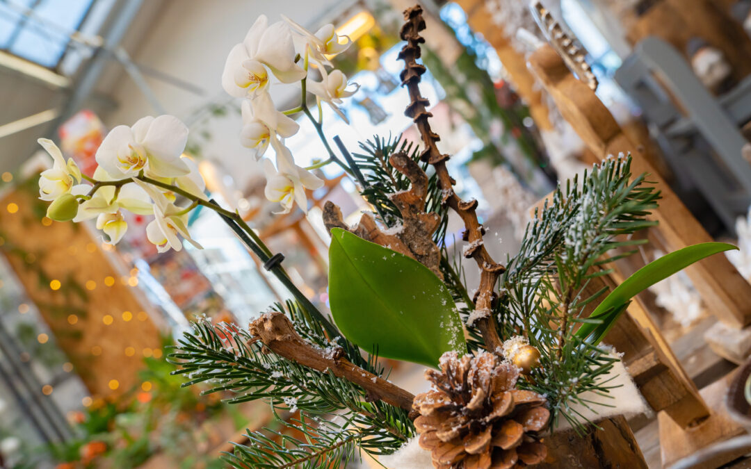Weihnachtliche Dekoration mit Orchideen