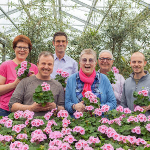 Die Benefizgeranie "Louise" der Gartenbaugruppe Würzburg