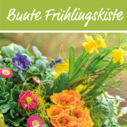Die bunte Frühlingskiste der Gartenbaugruppe Würzburg