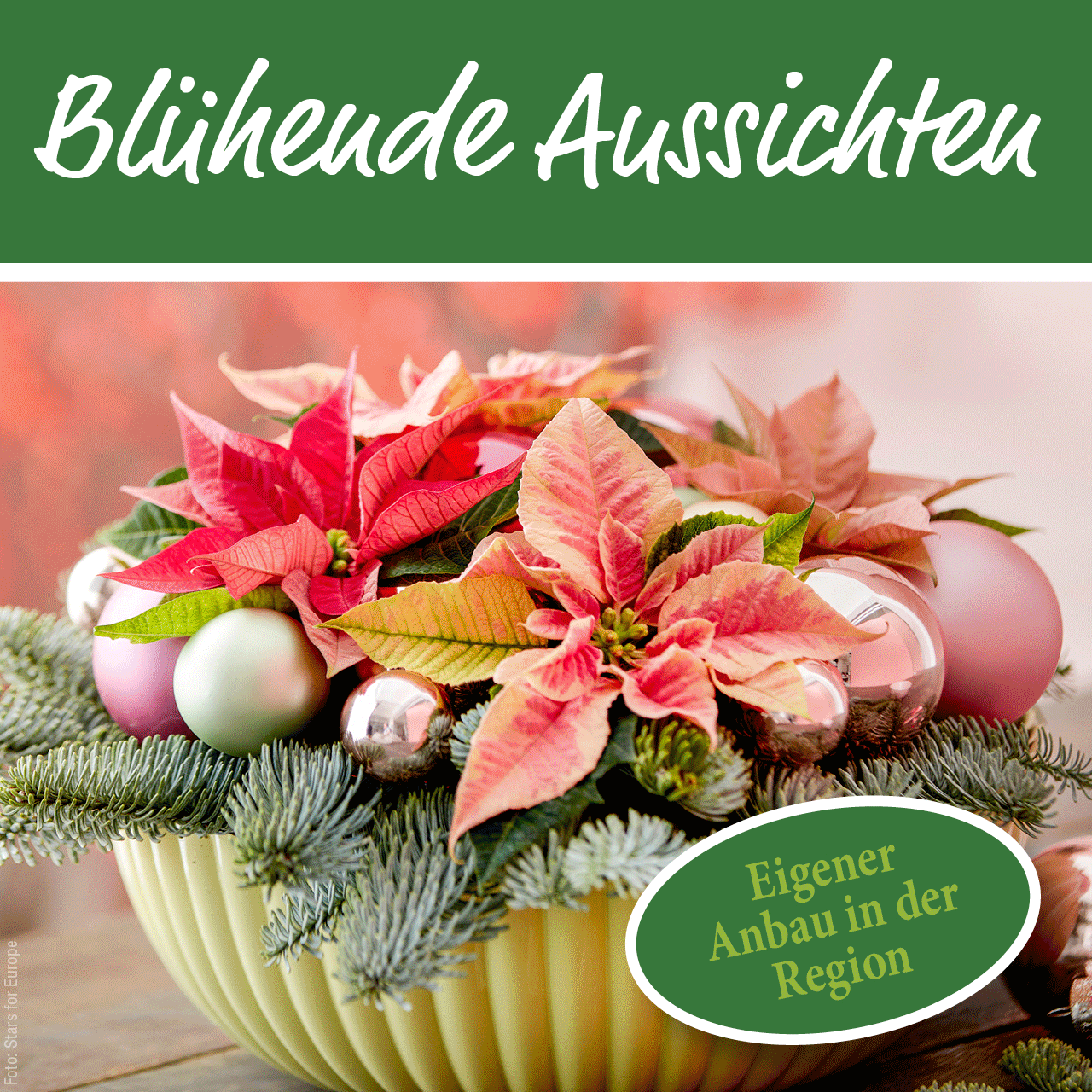 Gartenbaugruppe Banner Advent2021 Quadrat 1280x1280px Gartenbaugruppe Banner Advent2021 Quadrat 1280x1280px