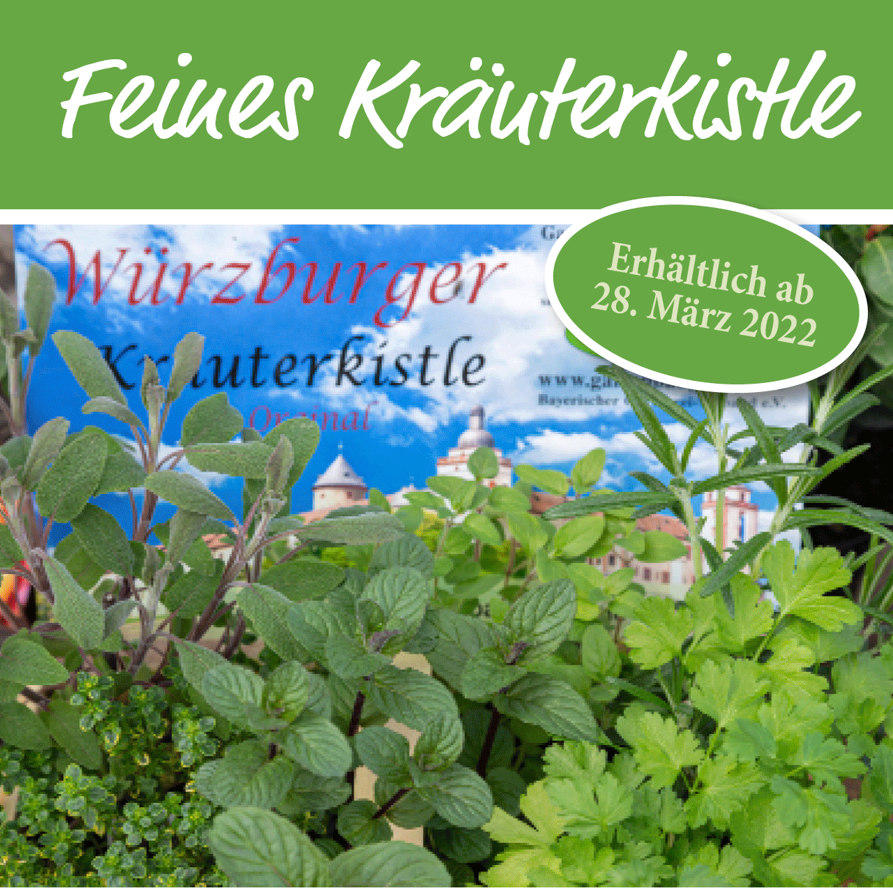 Gartenbaugruppe Banner WuerzburgerKraeuterkistle2022 Quad Gartenbaugruppe Banner WuerzburgerKraeuterkistle2022 Quad