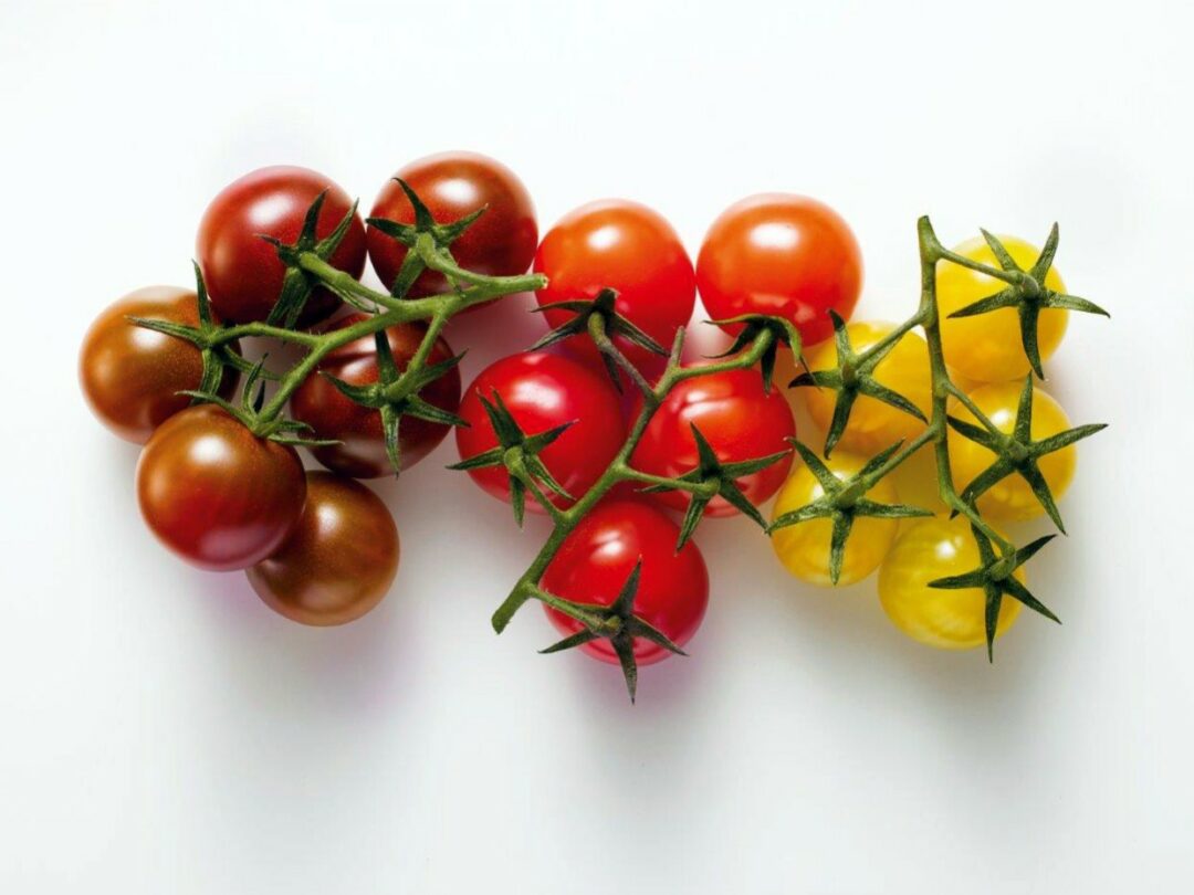 Gemüse des Jahres Tomaten schwarz rot gold lecker