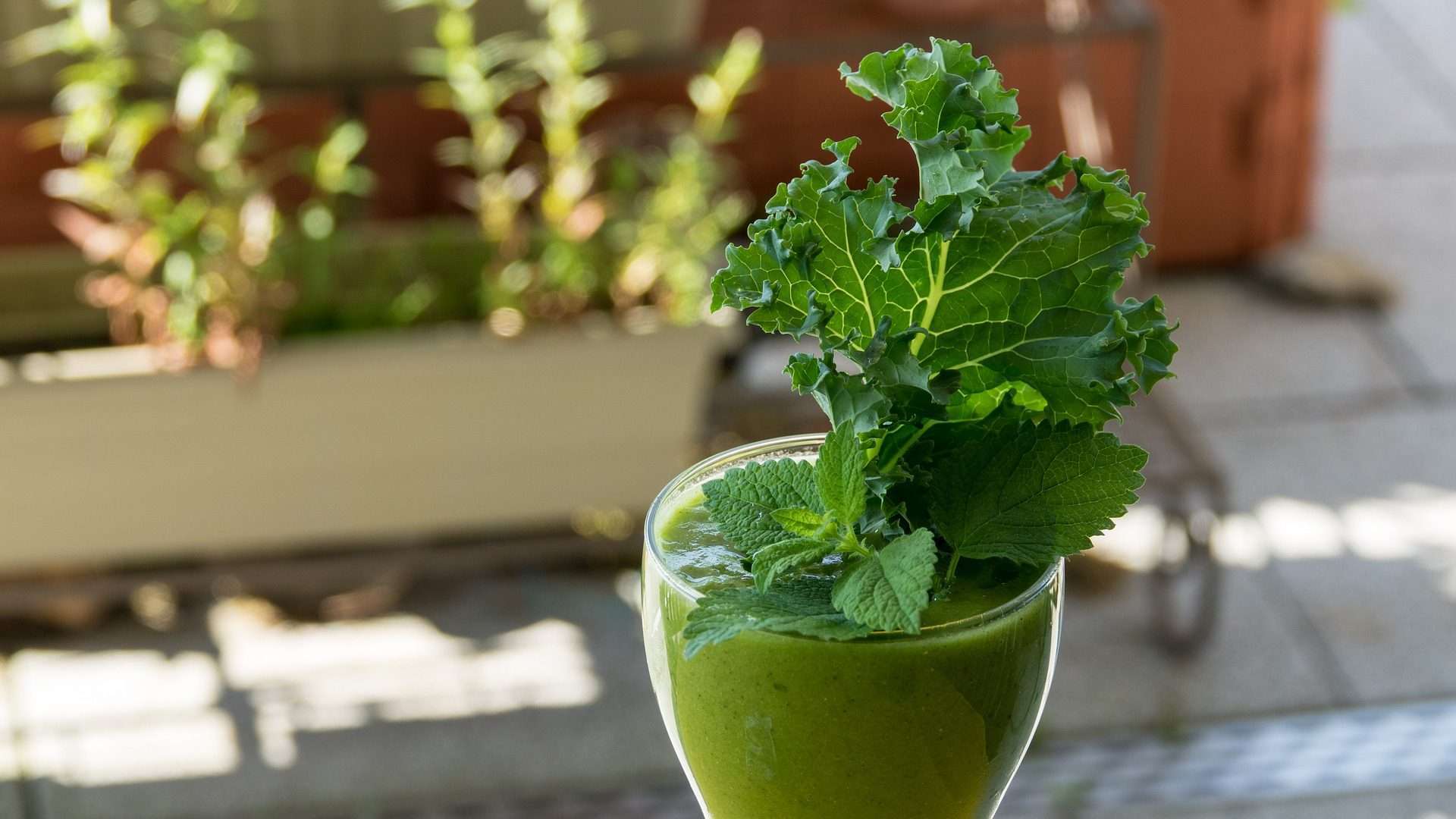 Grüner Smoothie mit Minze Grüner Smoothie mit Minze