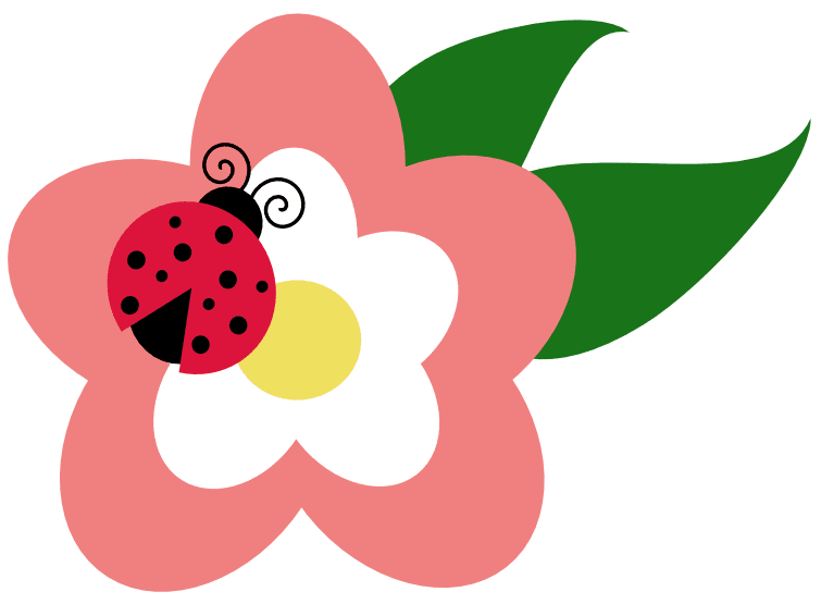 Nützling Marienkäfer Auf Blume