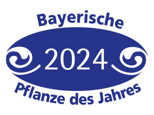 Pflanze des Jahres 2024 Siegel blau