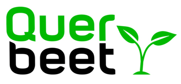 Querbeet Br Online Logo